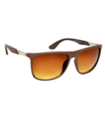 2.5 NVG (100% UVA/UVB) Protected Sunglass (SUN103101)