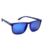 2.5 NVG (100% UVA/UVB) Protected Sunglass (SUN705)